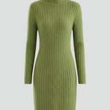 Damen Mini Kleid mit hohem Kragen und langen Ärmeln