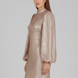 Damen Mini Kleid mit Rundhalsausschnitt und langen Ärmeln