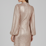 Damen Mini Kleid mit Rundhalsausschnitt und langen Ärmeln